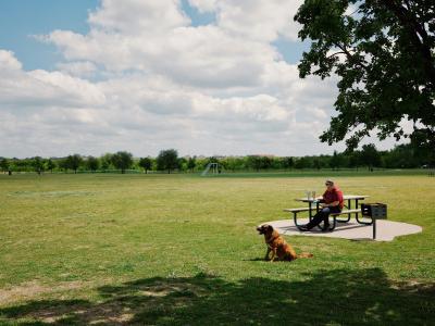 The Meadow